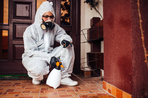 Reliable Bed Bug Control contractor in Salem, AR by Nex Pest Control